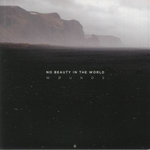 No Beauty In The World