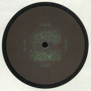 Guitarist EP