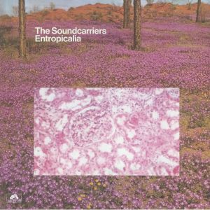 Entropicalia (remastered)