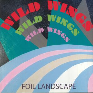 Foil Landscape