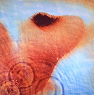 pink floyd meddle cover picture