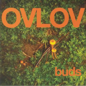 Buds