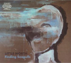 Finding Seagulls