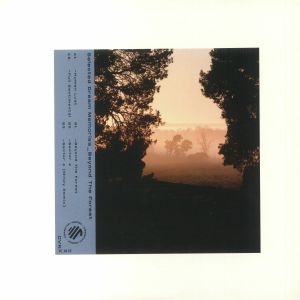 Beyond The Forest