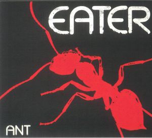 Ant