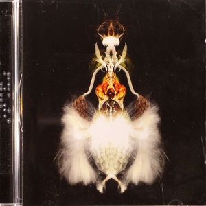 Fyuti