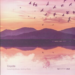 Coyote - Everything Moves Nothing Rests