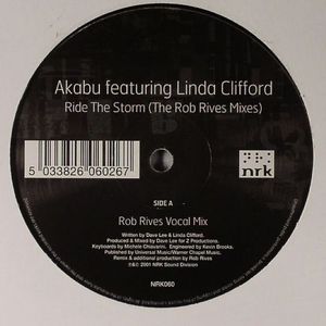 Ride The Storm (Rob Rives remixes)