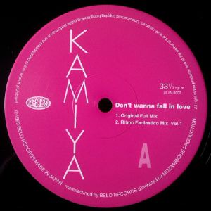 Don't Wanna Fall In Love