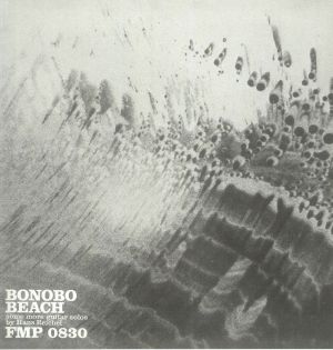 Bonobo Beach: Some More Guitar Solos
