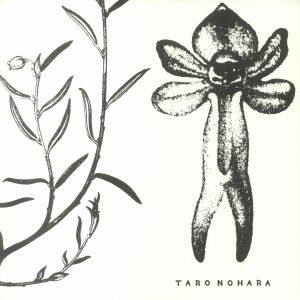 Poly Time Soundscapes/Forest Of The Shrine