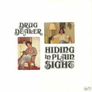 Hiding In Plain Sight