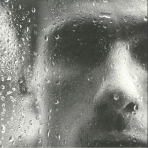 Dissolve In The Rain