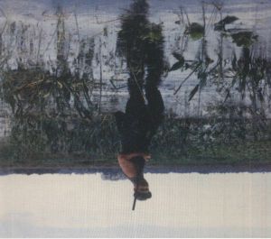 Animal Drowning