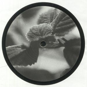 RC 02
