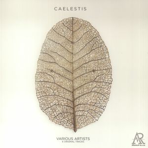 Caelestis