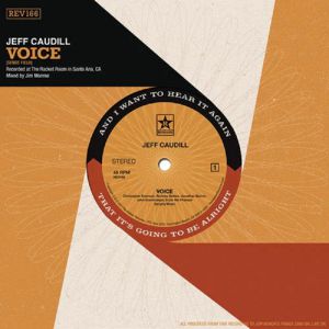 Voice