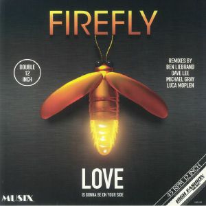 Love Is Gonna Be On Your Side: The remixes (B-STOCK)