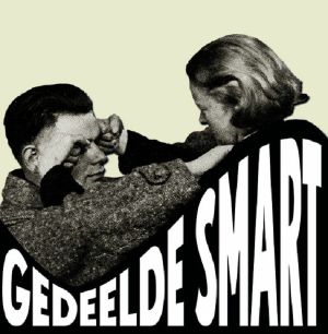 Gedeelde Smart