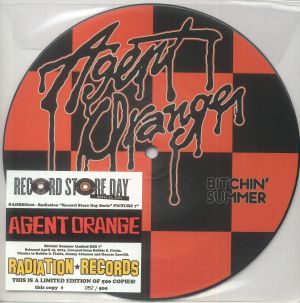 Bitchin' Summer (Record Store Day RSD 2023)