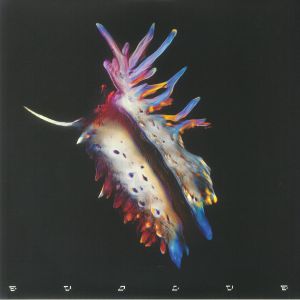 Evolve