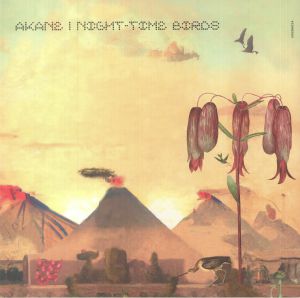 Night Time Birds