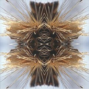 Sutra