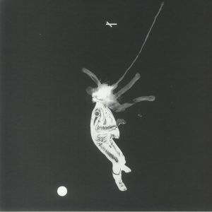 Feed Forward (Deluxe Edition)