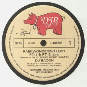 Raekwondering Lost Part 1 & 2