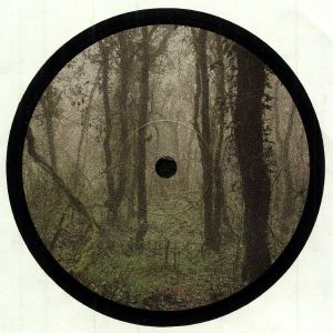 El Bosque De La Niebla
