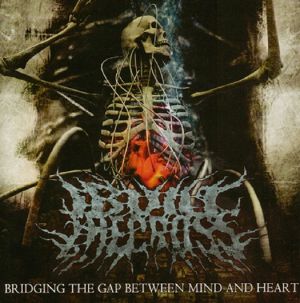 Bridging The Gap Between Mind & Heart