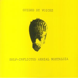 Self Inflicted Aerial Nostalgia