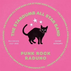Live At Punk Rock Raduno