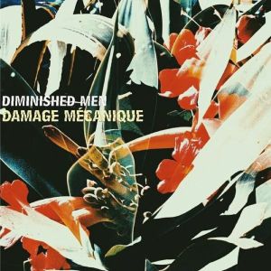 Damage Mecanique