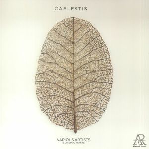 Caelestis (B-STOCK)