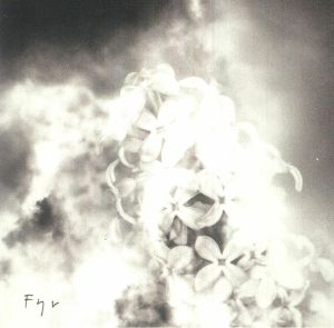 Fyr