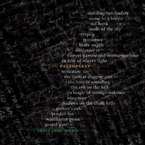 Palimpsest