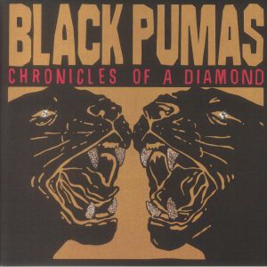 Chronicles Of A Diamond