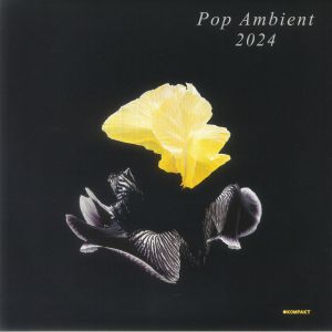 Pop Ambient 2024