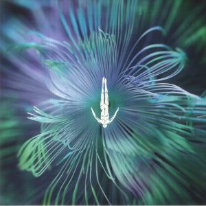 Five Phases: Reflected Wisdom