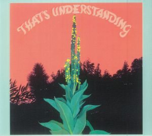 That's Understanding
