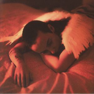 Midnight Butterflies