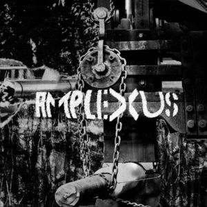 Melting Away: Fierce Detrunctation