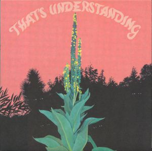 That's Understanding