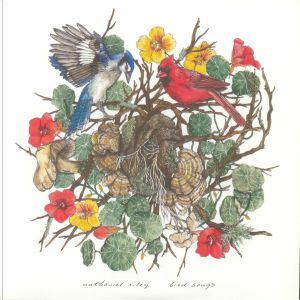 Bird Songs