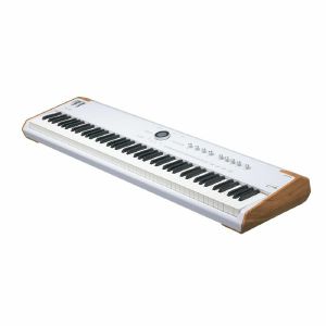 Arturia AstroLab 88 Standalone Performance Synthesiser