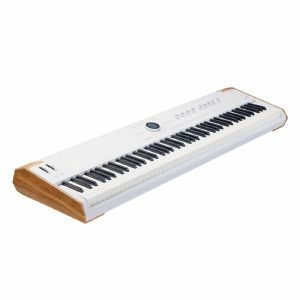 Arturia AstroLab 88 Standalone Performance Synthesiser