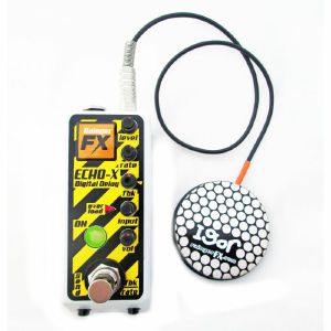 Rainger FX Echo X Digital Delay Pedal With Igor 2