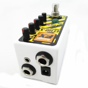 Rainger FX Echo X Digital Delay Pedal With Igor 2