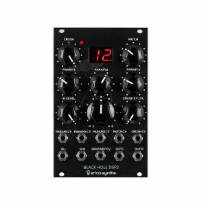 Erica Synths Black Hole DSP v2 Stereo Effects Processor Module